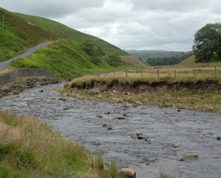 Forest of Bowland