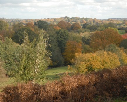 The High Weald