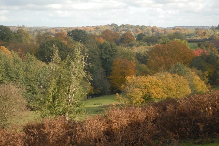 The High Weald