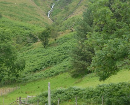 Ystwyth Valley