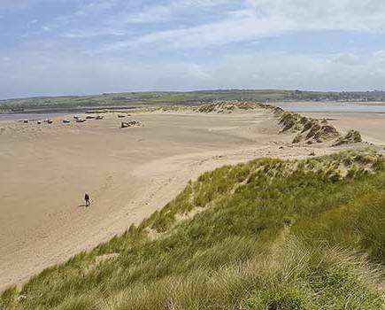 BrauNton BURROWS