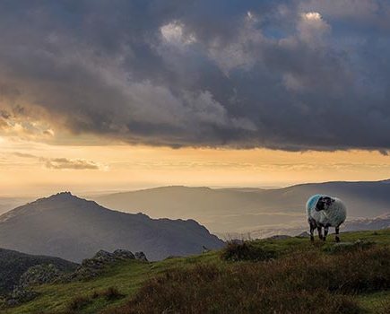 Coniston's Old Man walk