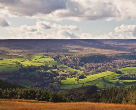 Nidderdale