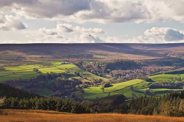 Nidderdale