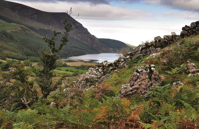 Snowdon