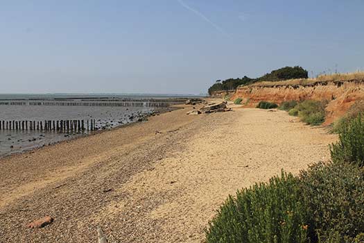 Mersea Island