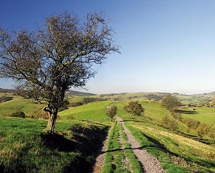 the Long Mynd
