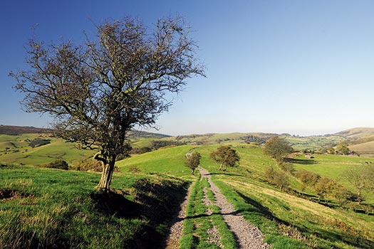 the Long Mynd