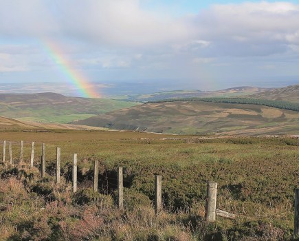 Angus Glens
