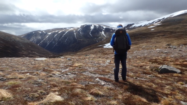 In the Cairngorms