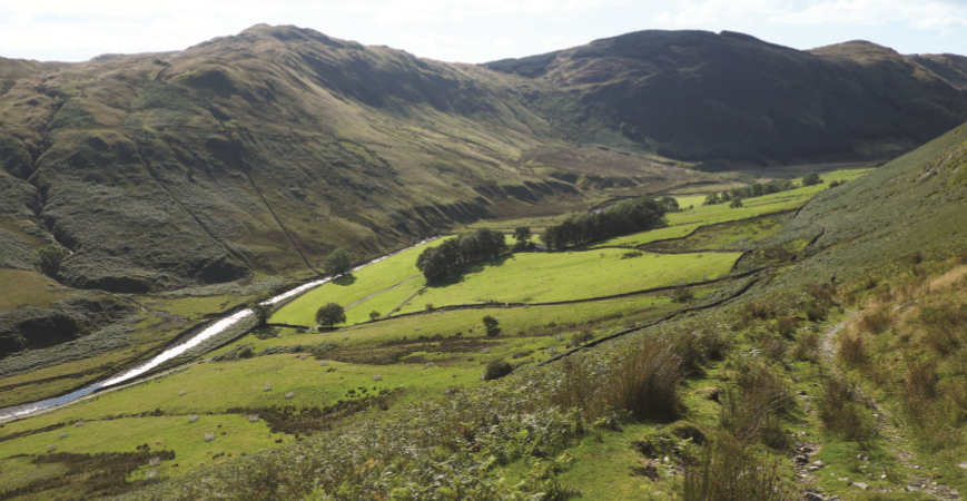 Descending back into Borrowdale near the end of the walk 