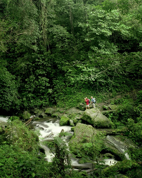 Kokoda Trail