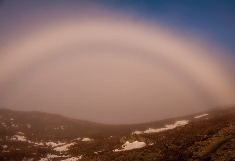 Fogbow