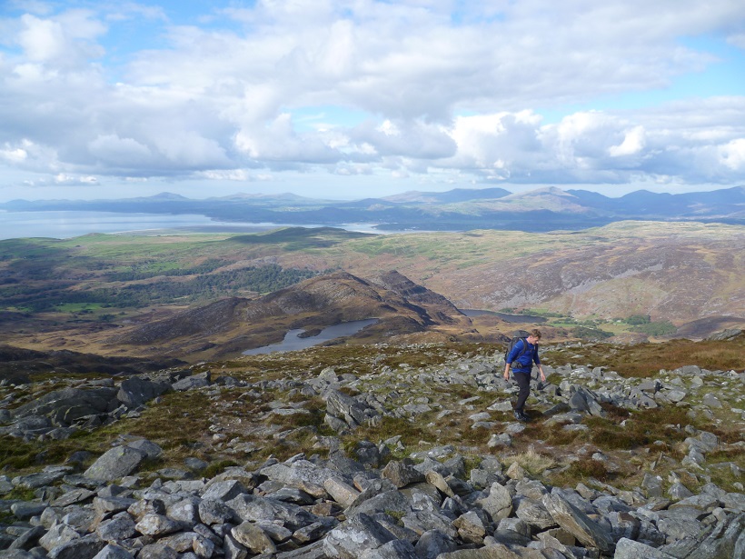 rhinogs