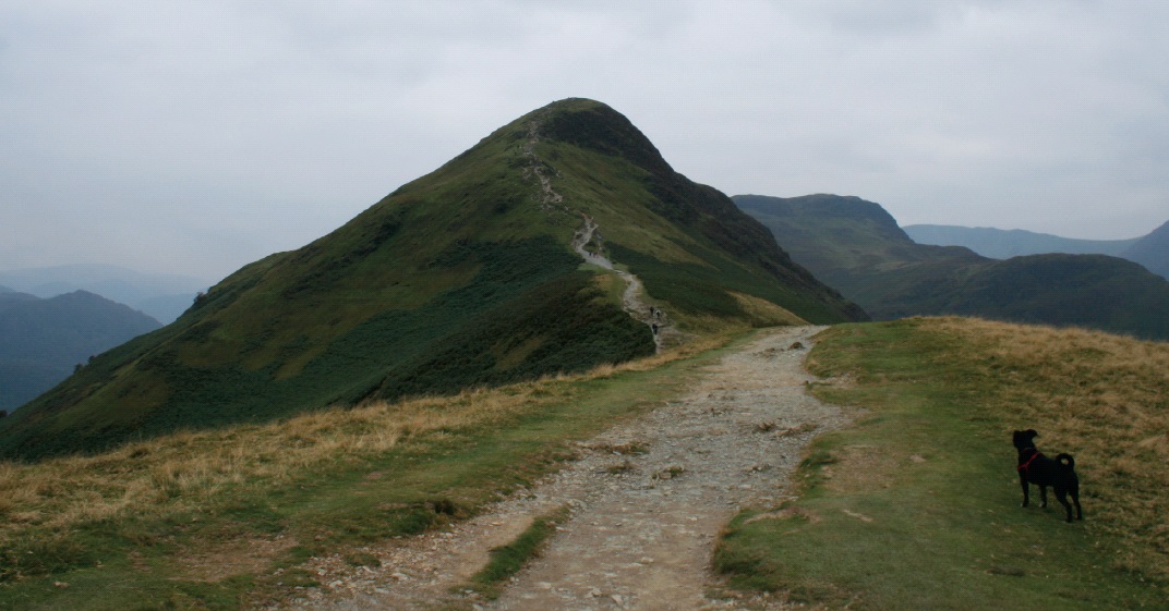 Catbells summit