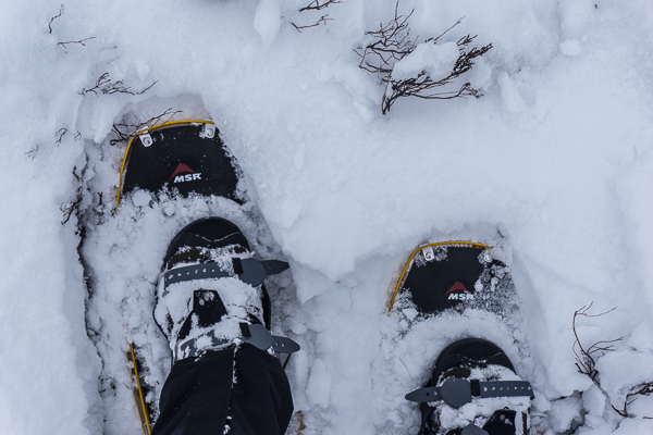 MSR Lightning Trail snowshoes