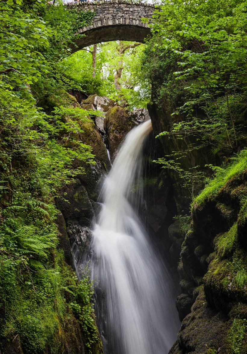 Aira Force