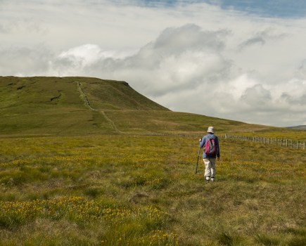 Walker with white hat and pole moving across a flat field on walk from Great Whernside to Coverdale