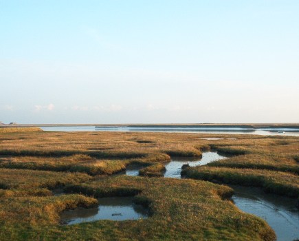 Water and brown grass, flat terrain on Suffolk coastal walk
