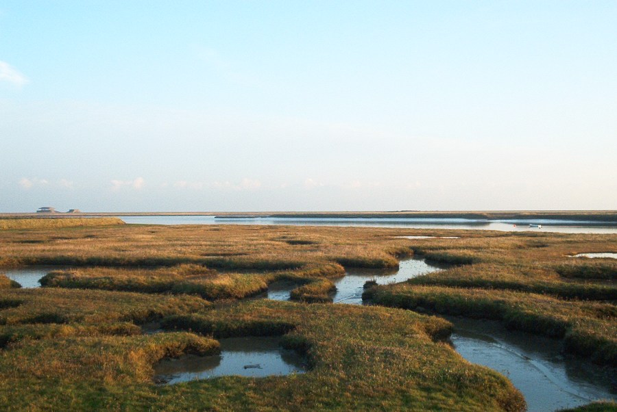 Water and brown grass, flat terrain on Suffolk coastal walk