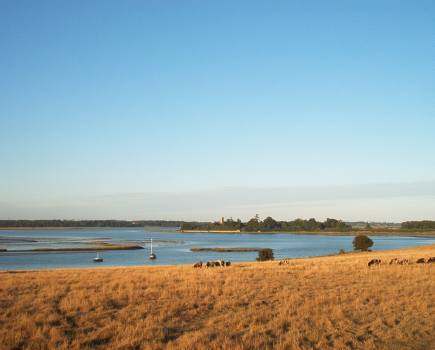 Autumn at the Suffolk coast