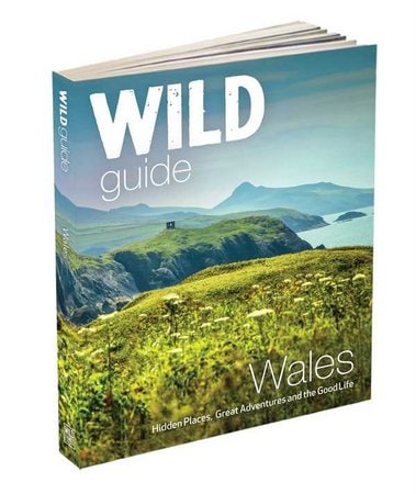 Wild Guide Wales book