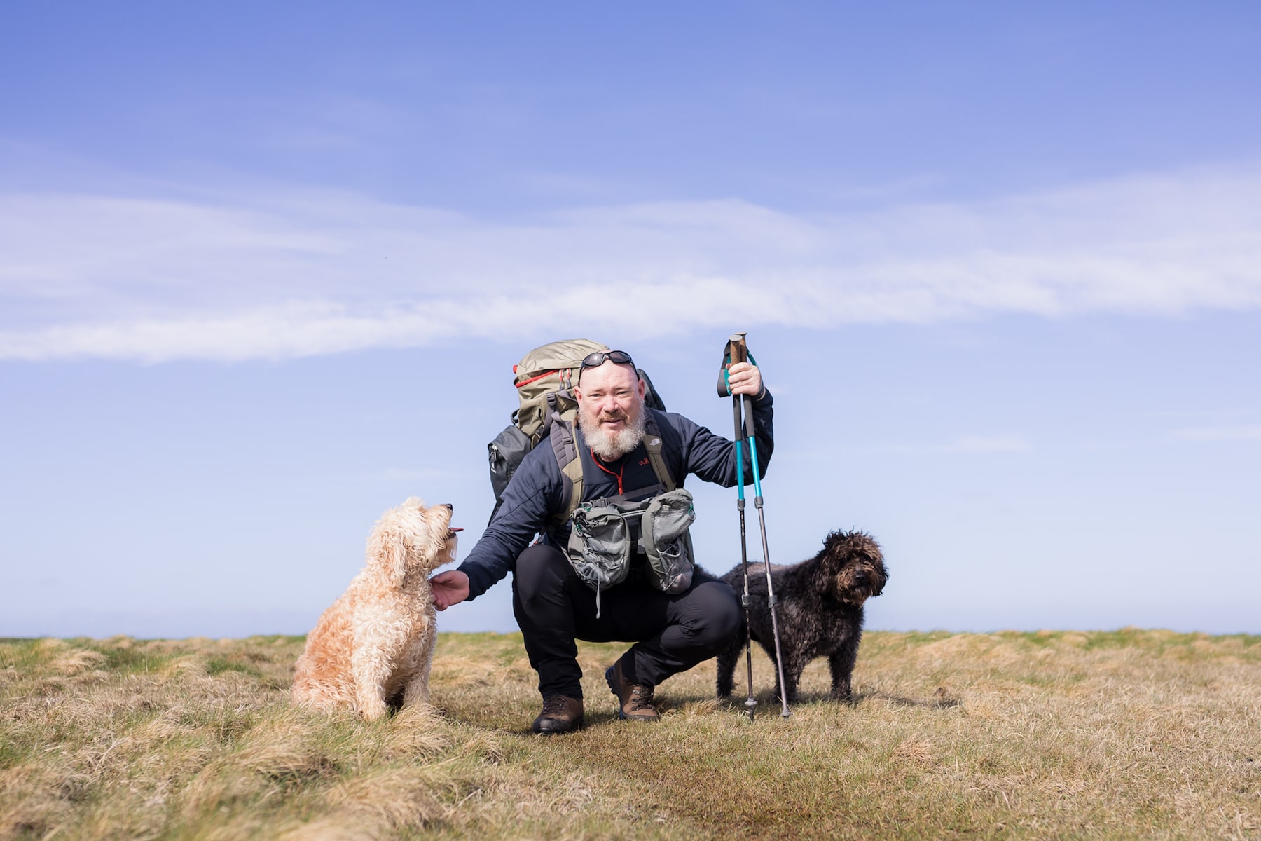 Long distance hiking deals with dogs