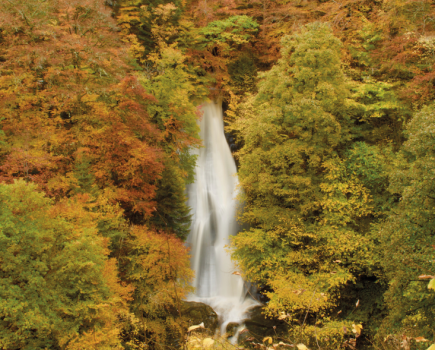 Autumnal woodland steep waterfall