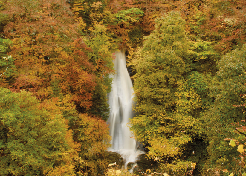 Autumnal woodland steep waterfall