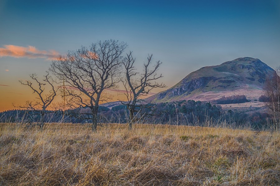 Orange skies over a mountain peak, barron trees and dry brown grassland