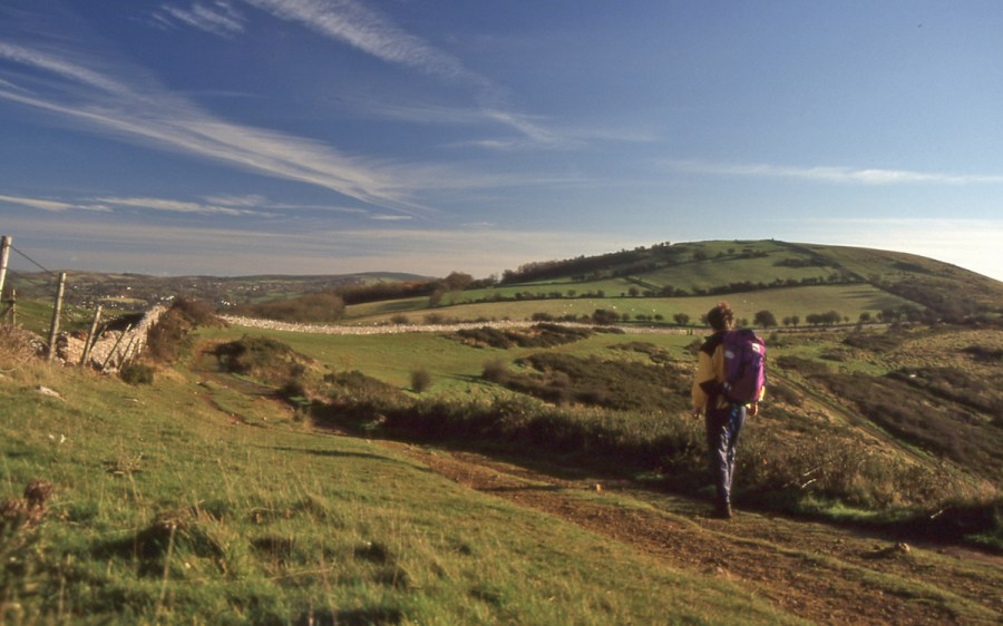 Walker with a purple backpack walking green fields on Wavering Down, Mendips