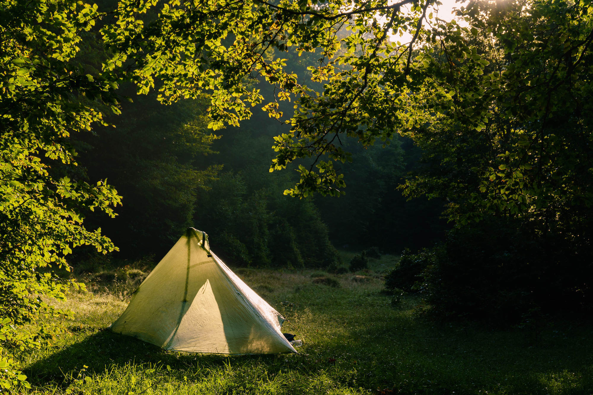 wild camping in the woods