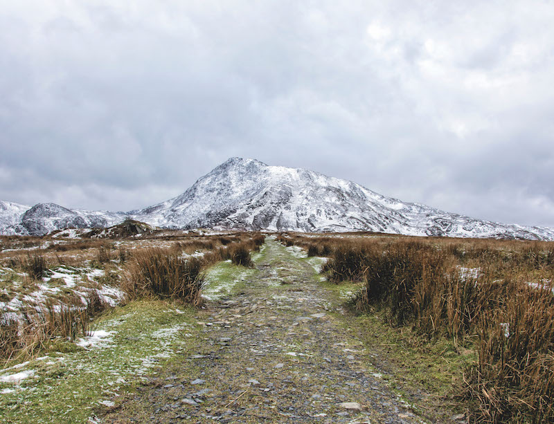 Winter walking for beginners