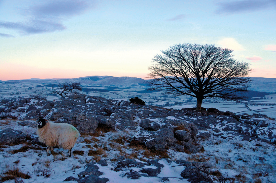 9. The end of a cold winter’s day on Hutton Roof Crags.JPG