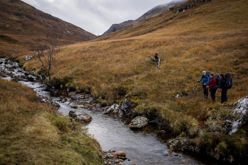 A group of walkers looking at a stream