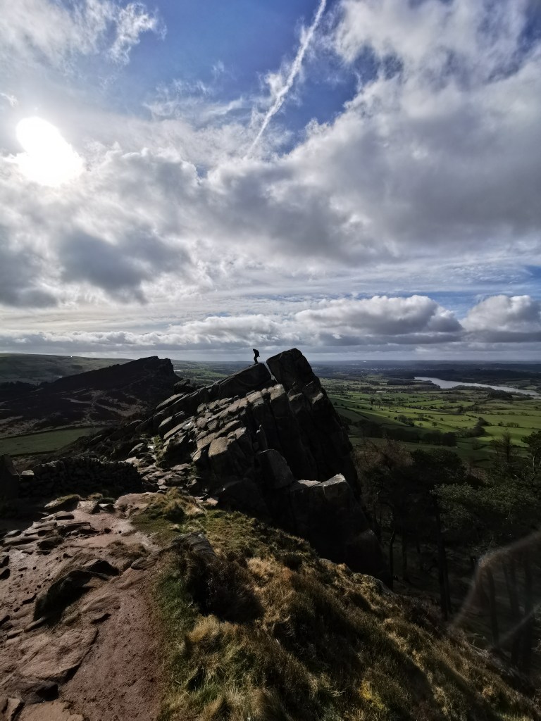 Wide view of the roaches