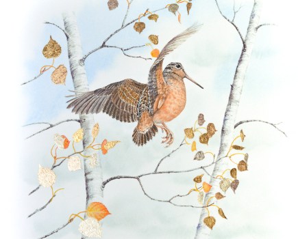 'American Woodcock', one of Colin Woolf's pin-feather paintings.