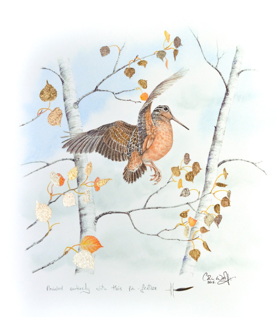 'American Woodcock', one of Colin Woolf's pin-feather paintings.