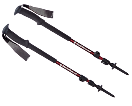 Black Diamond Trail trekking pole