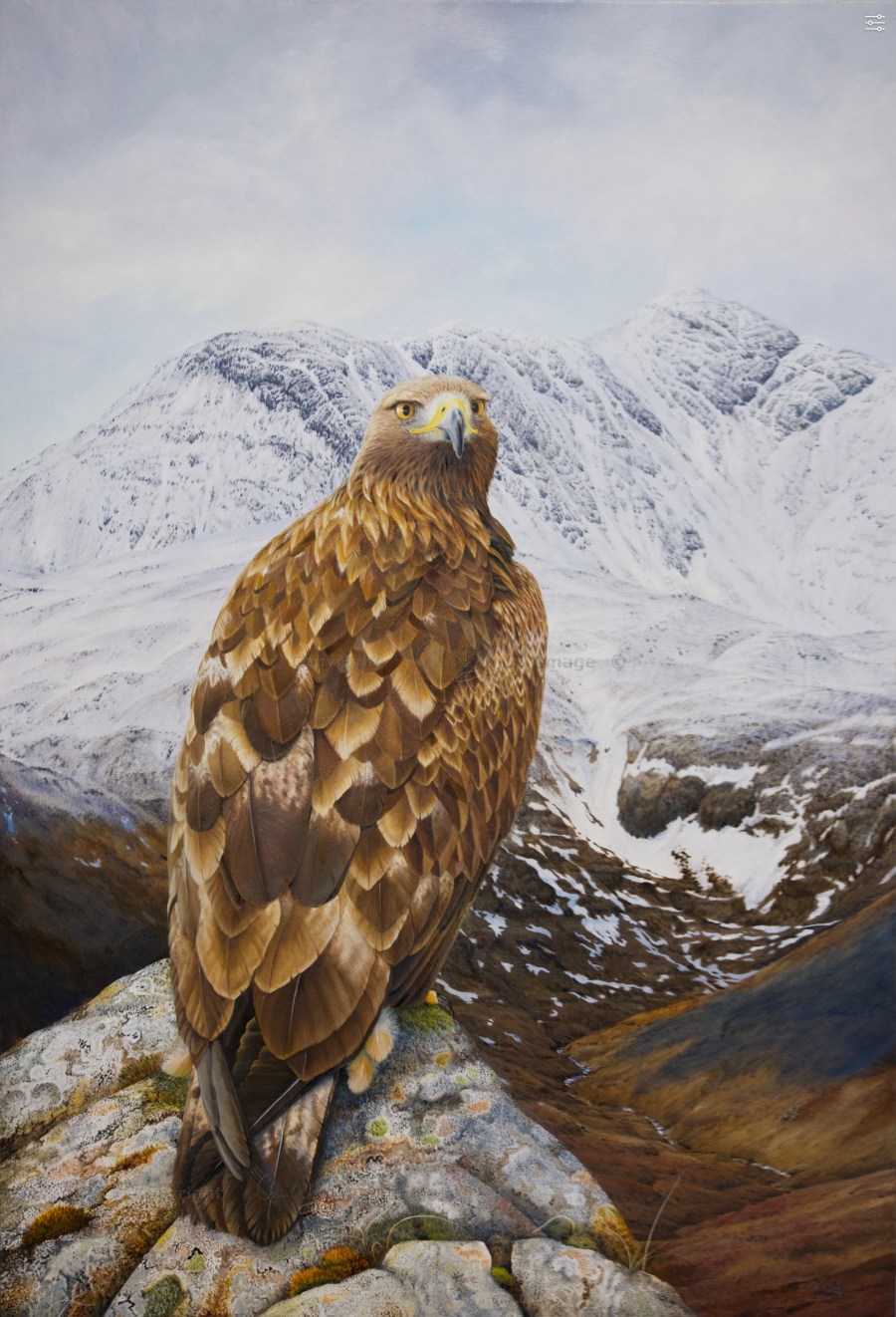 Highlander oil on gesso board. A painting by Colin Woolf.