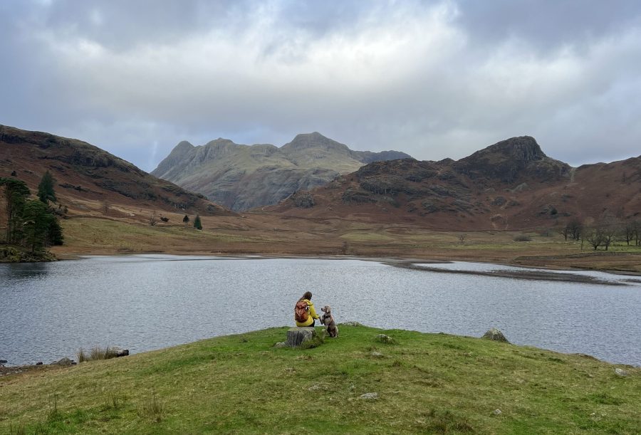 Lingmoor Fell_A windy, grey Blea Tarn with views towards the Langdales