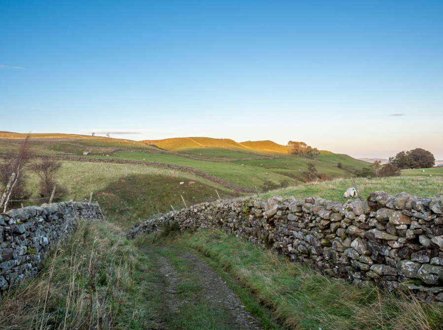 5 - Waypoint 5 - Pennine Way at Wythes Hill - _A130369.jpg