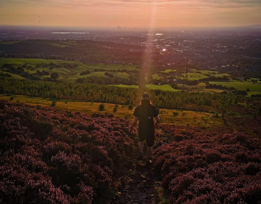 Wild Bank walk at sunset