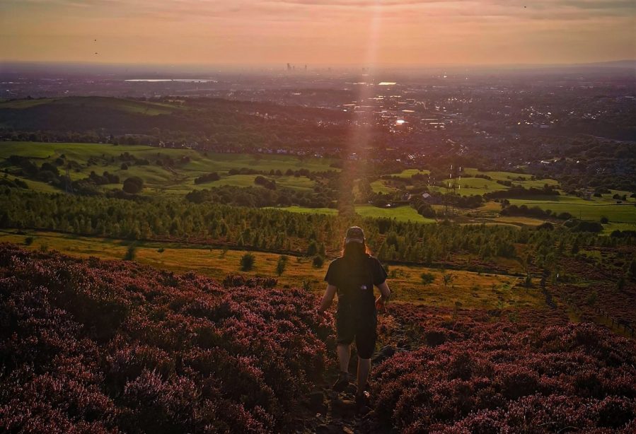 Wild Bank walk at sunset