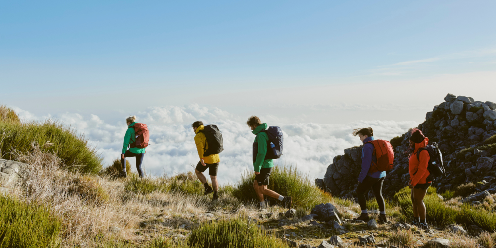 Some of the best hiking backpacks and different types of backpack used by hikers on a mountain.