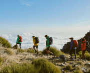 Some of the best hiking backpacks and different types of backpack used by hikers on a mountain.