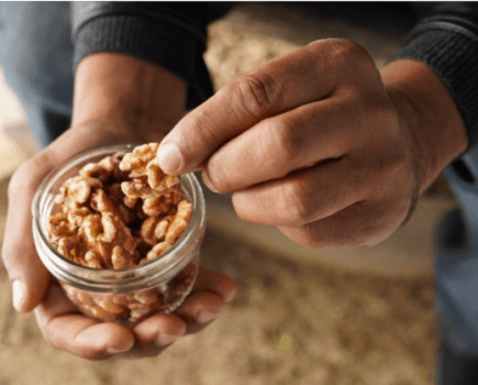 The California walnut makes a good trail snack