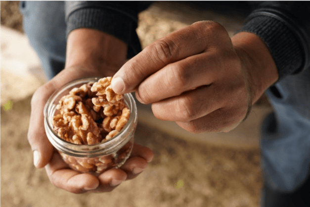 The California walnut makes a good trail snack