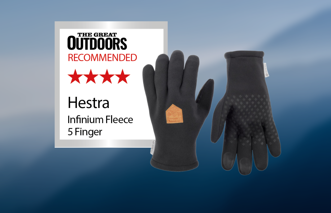 Hestra Infinium Fleece 5 Finger