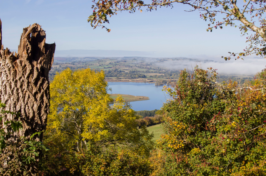 Mynydd Troed and Langorse lake